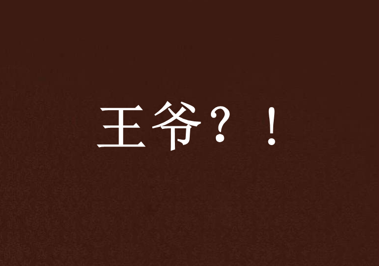 王爷?! 王爷?!