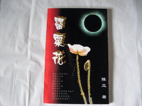 大学自印诗集 大学自印诗集