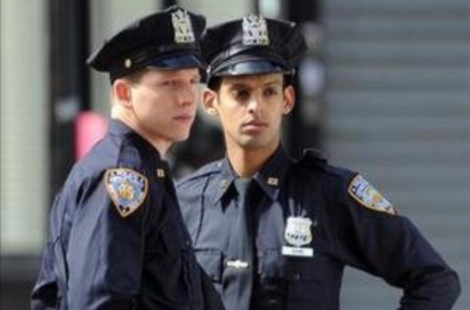 警界雏鹰第一季 警界雏鹰第一季
