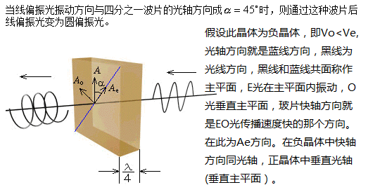 图1负晶体四分之一玻片的快轴与光轴同方向 图1负晶体四分之一玻片的快轴与光轴同方向