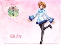 桃华月惮