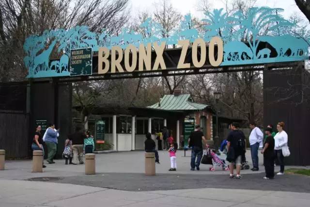 布朗克斯(Bronx)