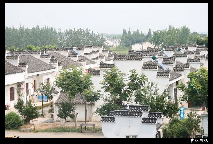 慈惠农场 慈惠农场