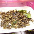 昆虫食品 昆虫食品