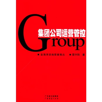 集团公司运营管控 集团公司运营管控