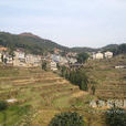 屿山村 屿山村
