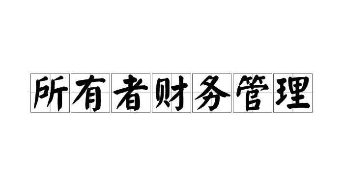 所有者财务管理 所有者财务管理