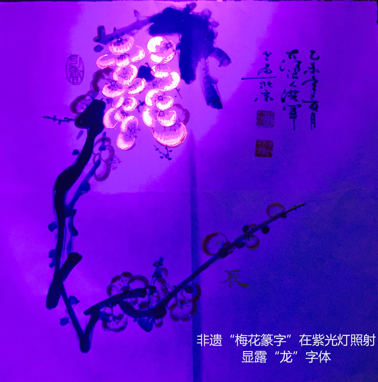 王洪军 王洪军