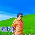 情人(韩红演唱歌曲) 情人(韩红演唱歌曲)