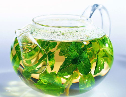 薄荷 薄荷