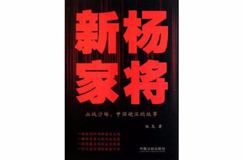 新杨家将 新杨家将