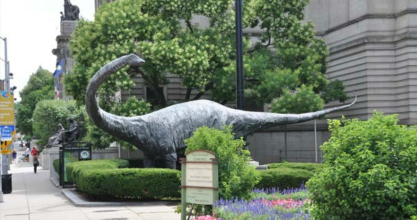 匹兹堡大学