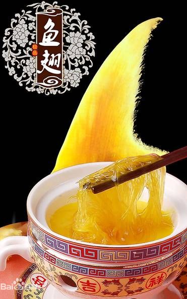 天然鱼翅 天然鱼翅