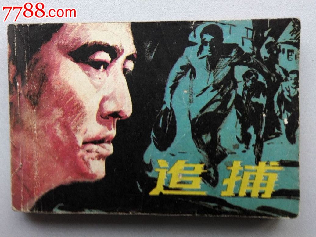 追捕(1976年高仓健主演电影) 追捕(1976年高仓健主演电影)