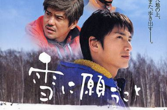 向雪祈愿 向雪祈愿