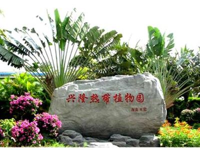 兴隆热带植物园 兴隆热带植物园