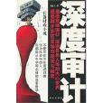 深度审计 深度审计