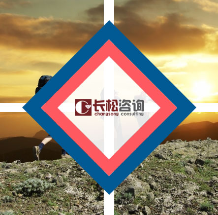 长松谘询 长松谘询
