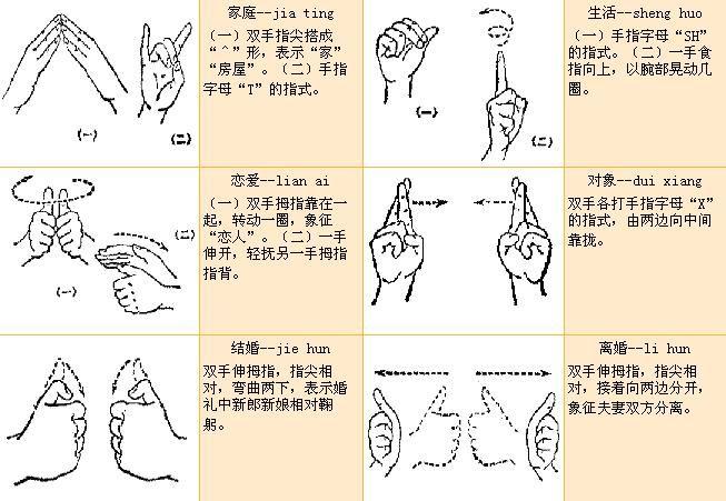 中国手语基本手势 中国手语基本手势