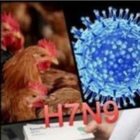 H7N9疫苗 H7N9疫苗