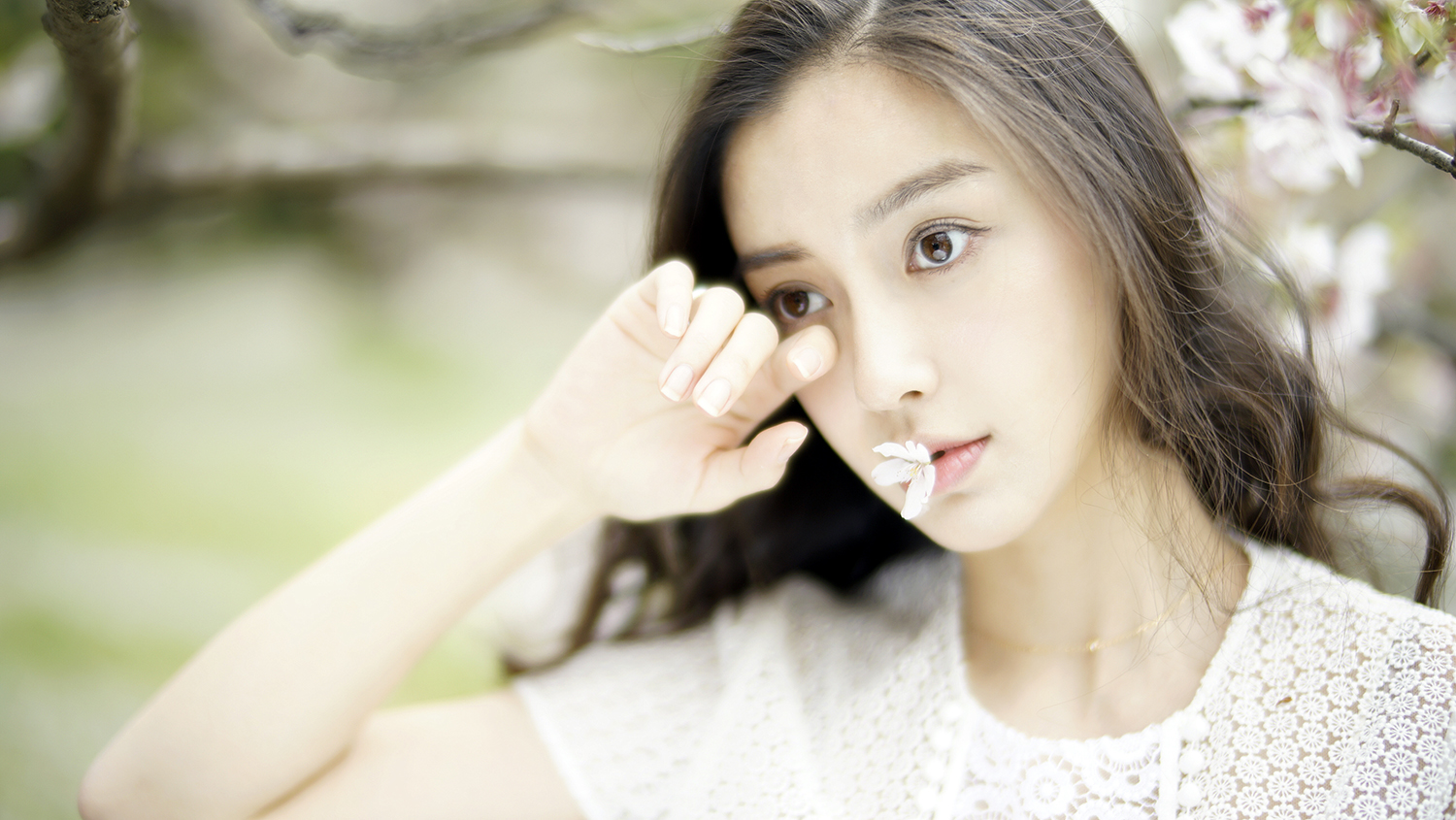 樱花说