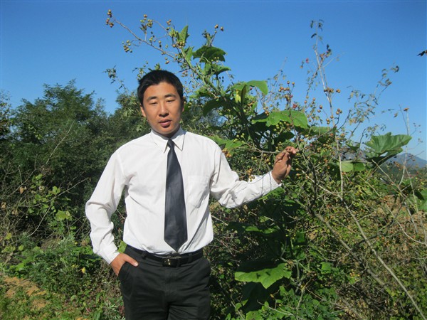 宫本朋 宫本朋
