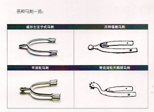 马刺(骑马者靴后根上的小刺) 马刺(骑马者靴后根上的小刺)
