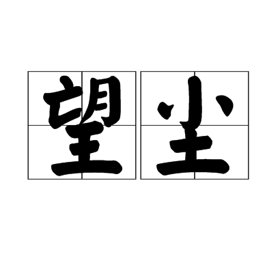 望尘 望尘