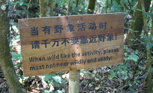 大象出没，请勿靠近