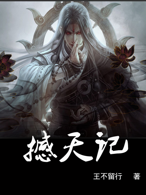 撼天记(王不留行小说) 撼天记(王不留行小说)
