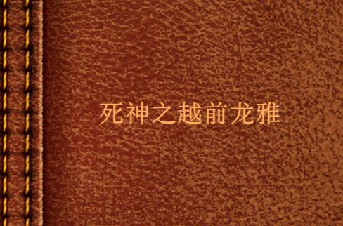 死神之越前龙雅