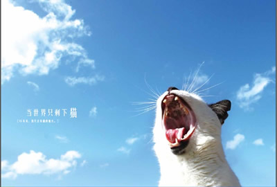 当世界只剩下猫 当世界只剩下猫