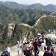 团体旅游 团体旅游