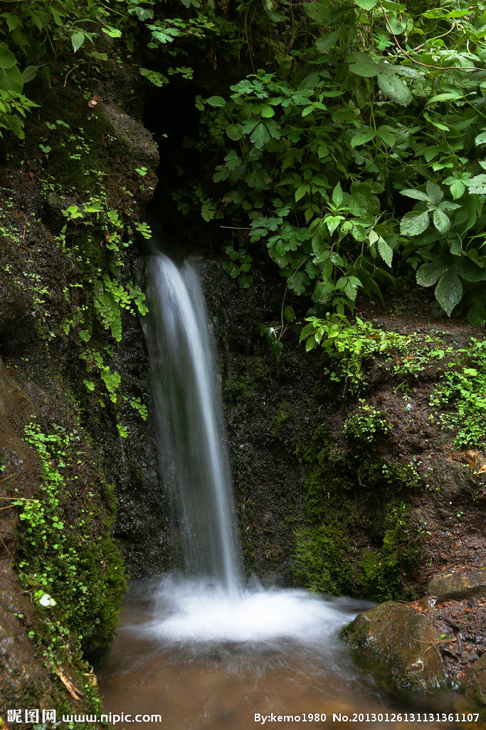 山泉水 山泉水