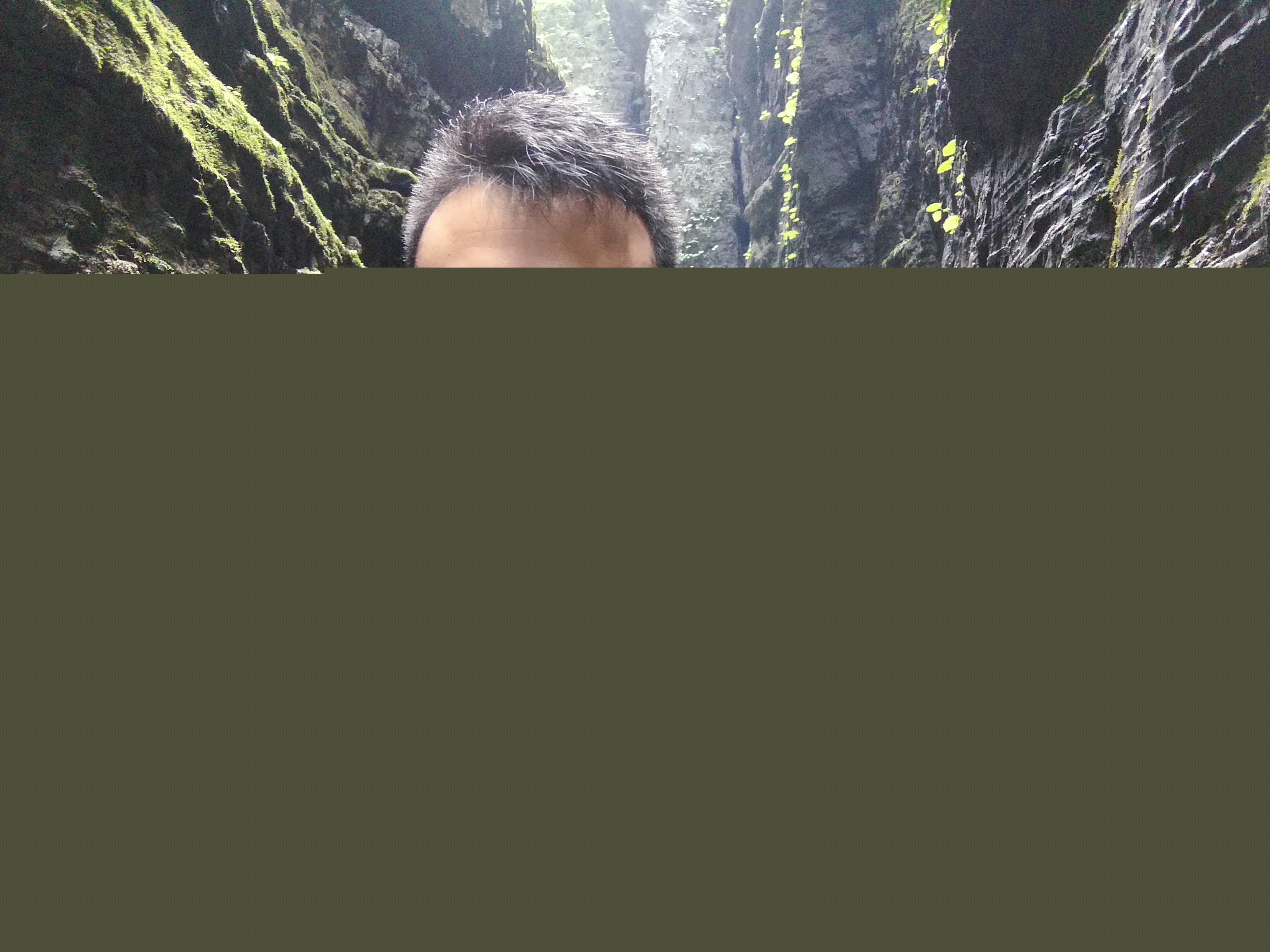无悔的选择(李方元歌词作品) 无悔的选择(李方元歌词作品)
