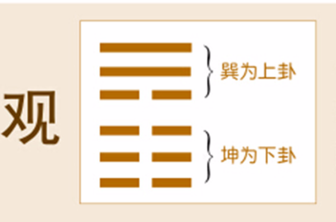 观卦 观卦