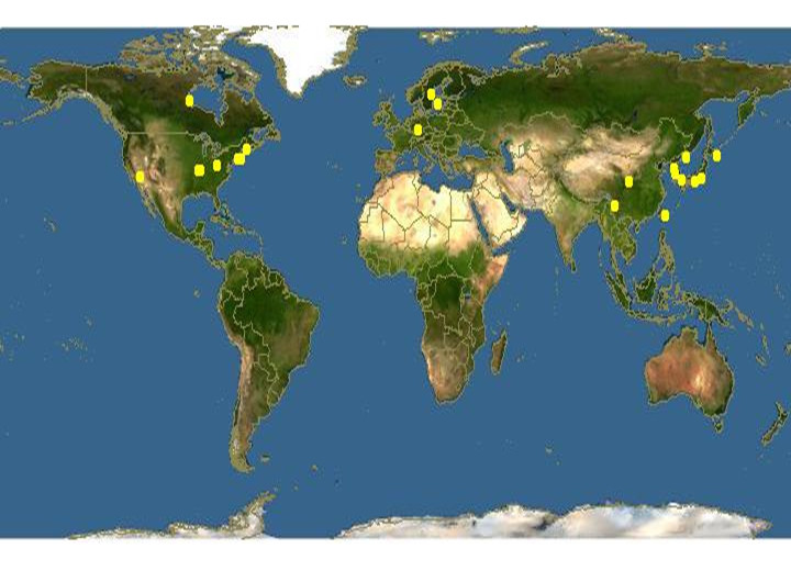 软枣猕猴桃分布地图 软枣猕猴桃分布地图