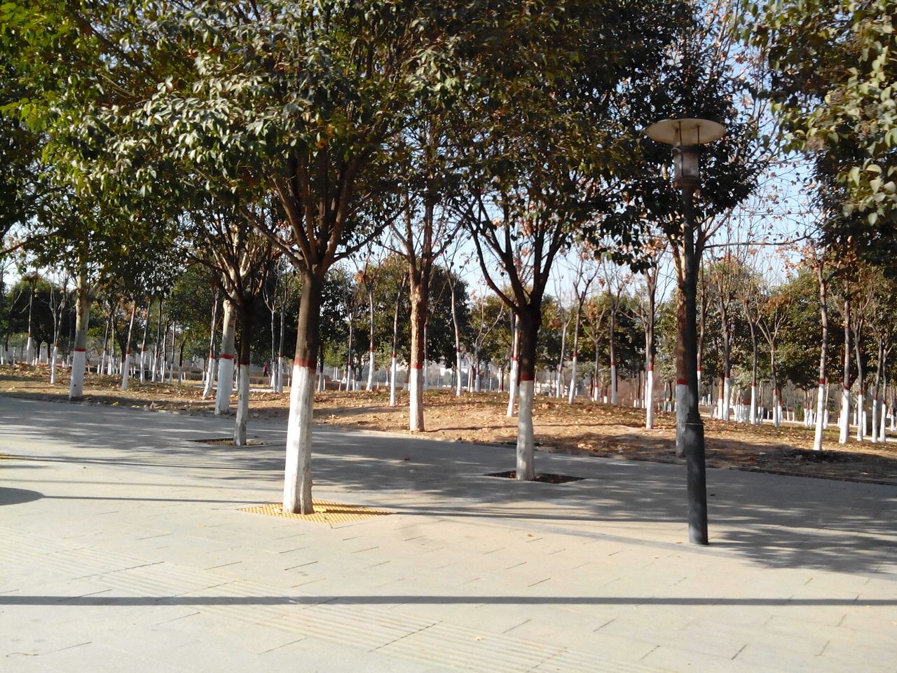 街头公园 街头公园