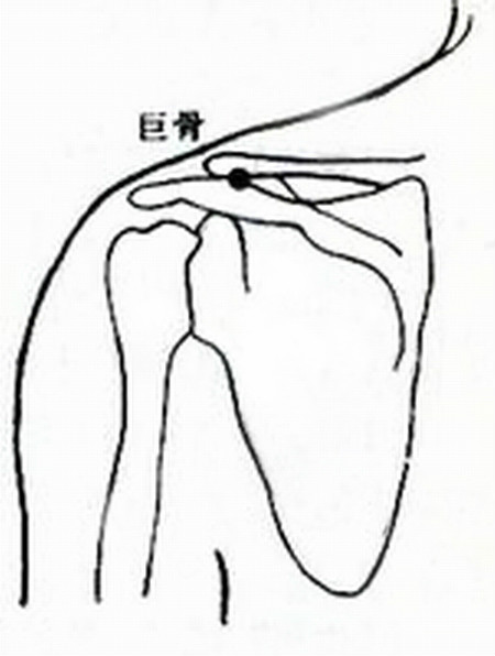 巨骨 巨骨