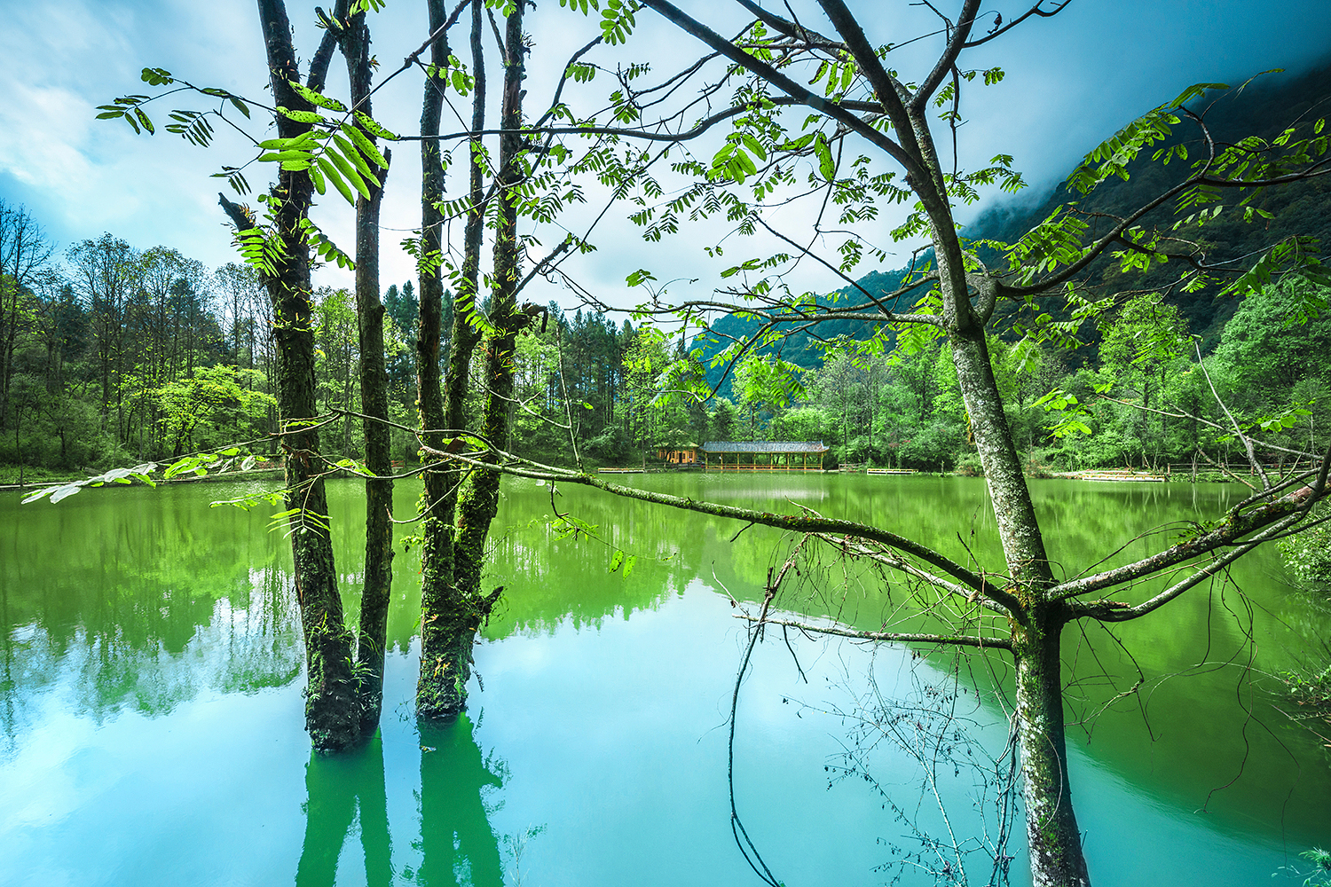 喇叭河 喇叭河