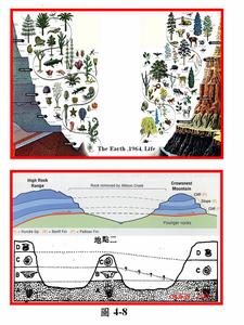 地质年代 地质年代