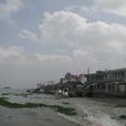 漳州河 漳州河