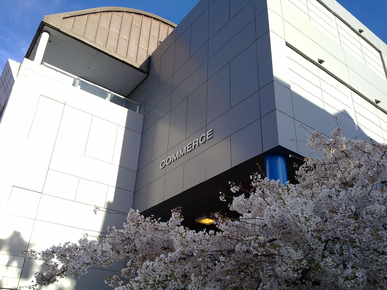 Otago商学院 Otago商学院
