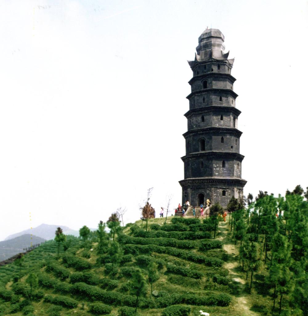 七星山森林公园 七星山森林公园
