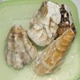 长牡蛎 长牡蛎