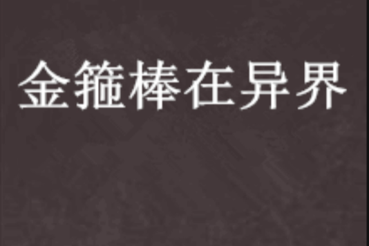 金箍棒在异界 金箍棒在异界