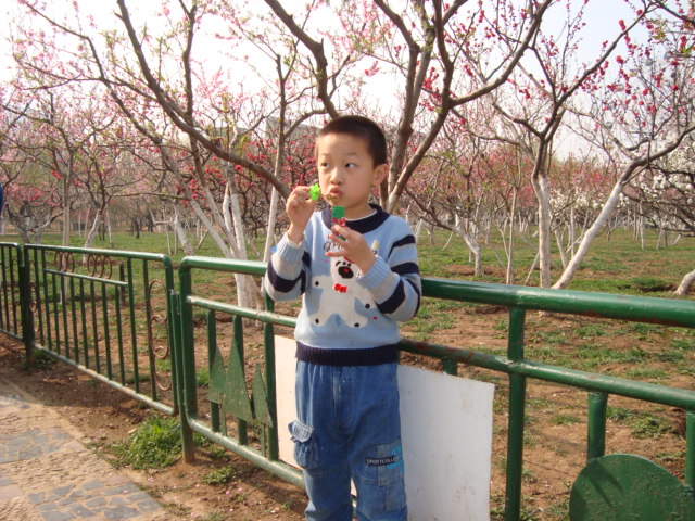 正在玩耍的小孩 正在玩耍的小孩