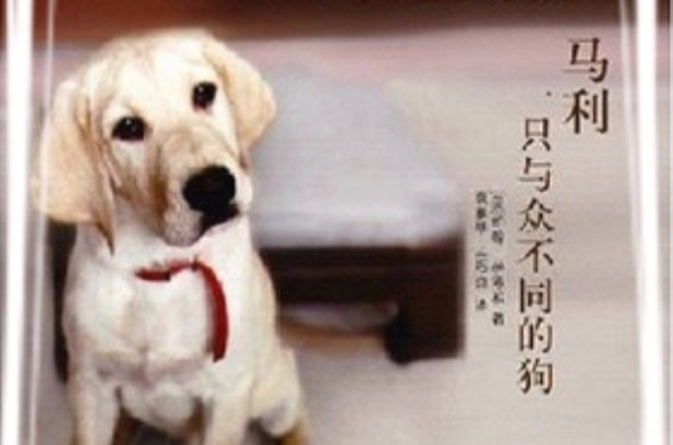 马利:一只与众不同的狗 马利:一只与众不同的狗