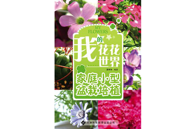 我的花花世界 我的花花世界