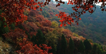 蒙阴蒙山旅游景区 蒙阴蒙山旅游景区